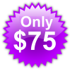 Click to purchase AutPCB Designer